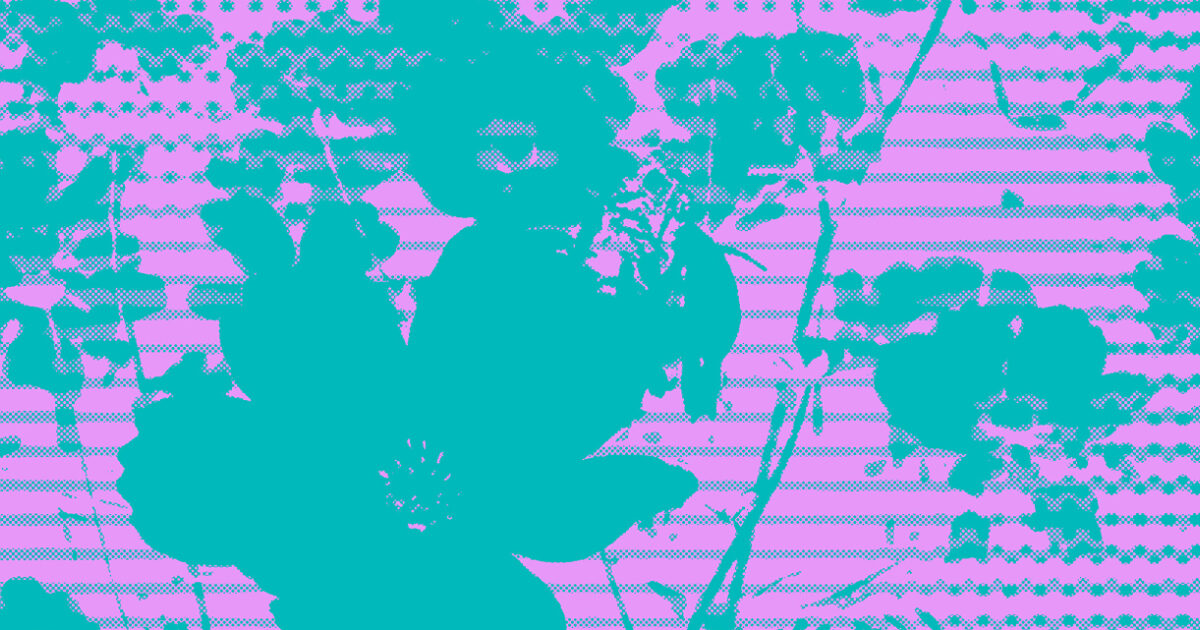 Roundhay Festival music festival in Leeds, England, United Kingdom